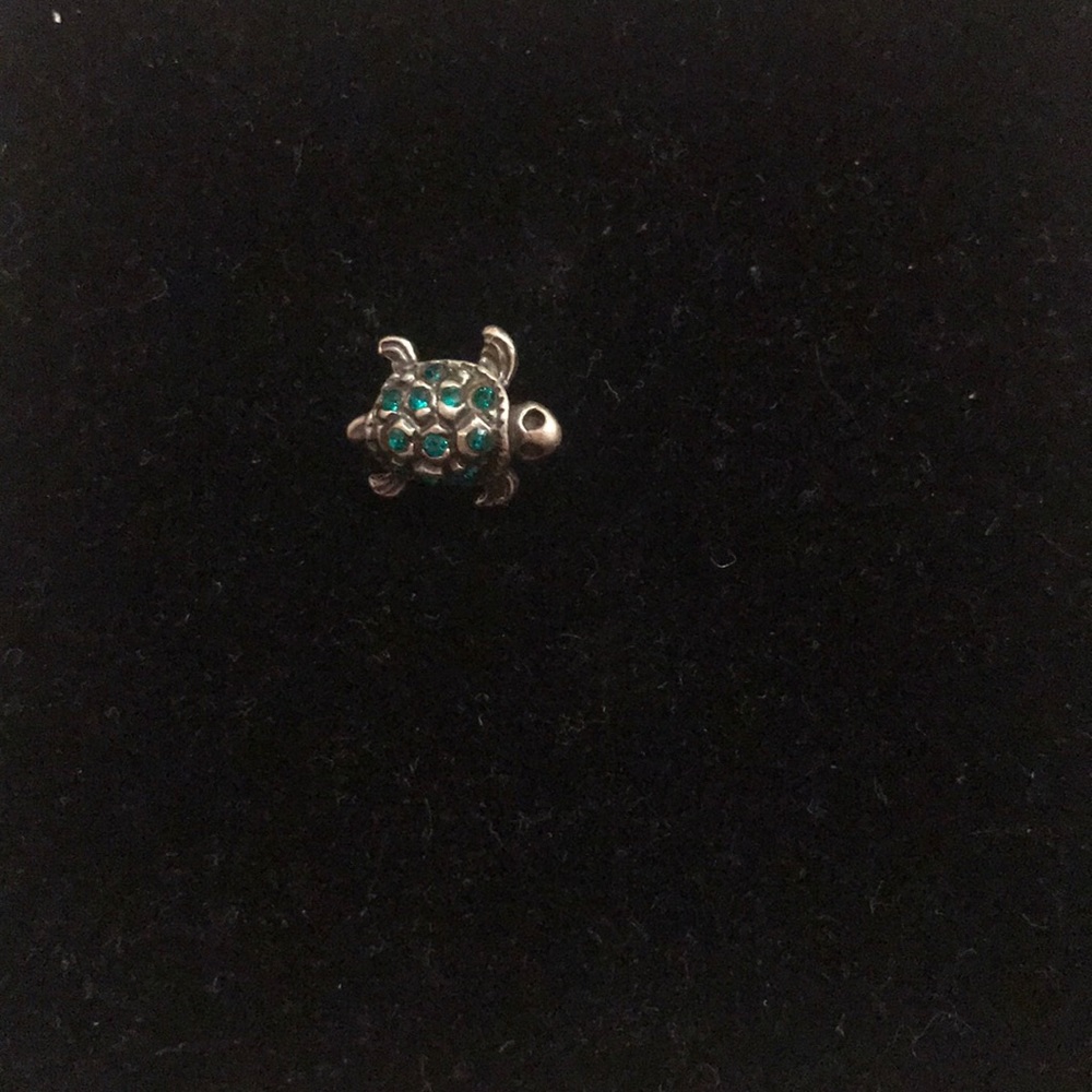 Pandora charm